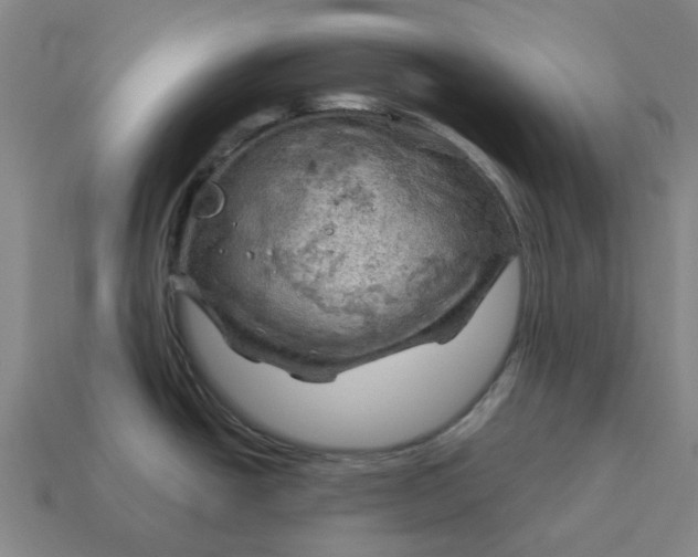 X0000114431438200911061634