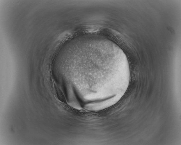 X0000114431441200911061633