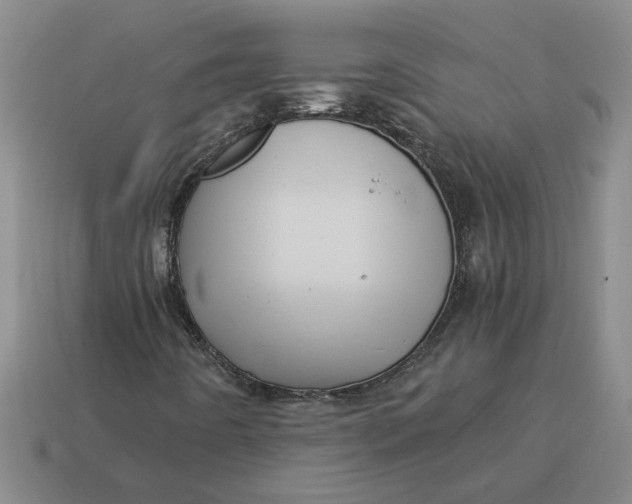 X0000114431442200911061633