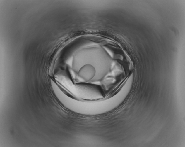 X0000114431444200911061633