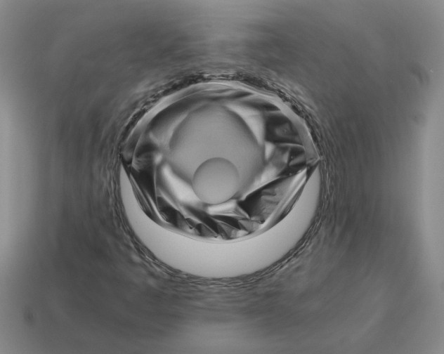 X0000114431445200911061633