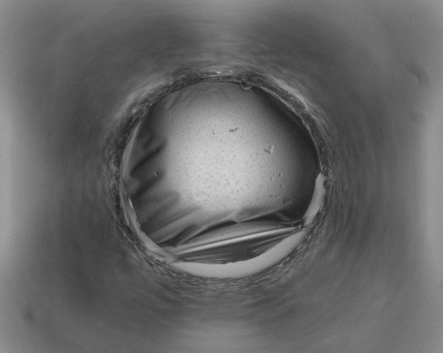 X0000114431447200911061633