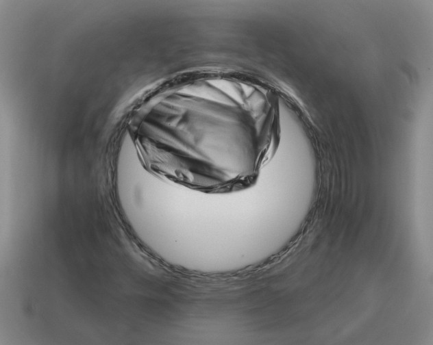 X0000114431448200911061633