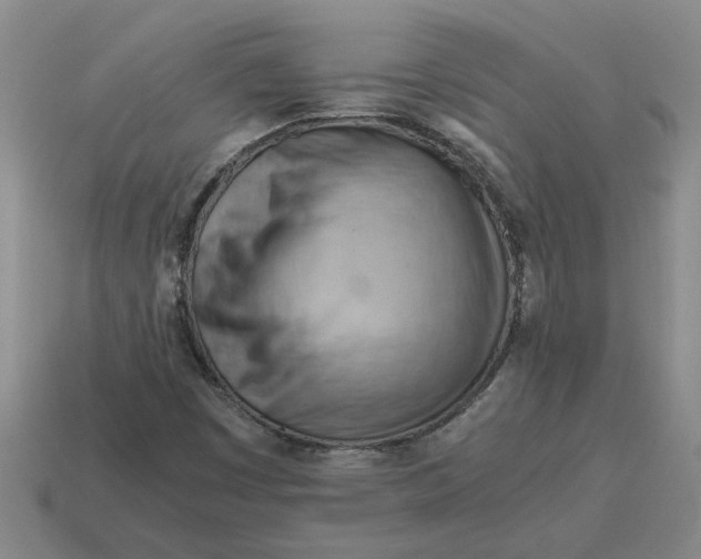 X0000114431449200911061633