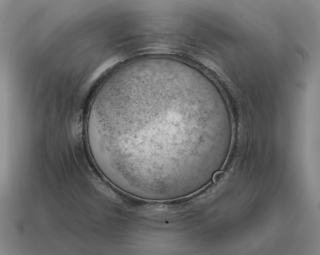 X0000114431450200911061633