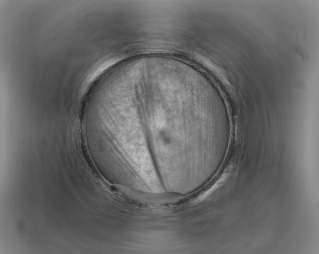 X0000114431453200911061633