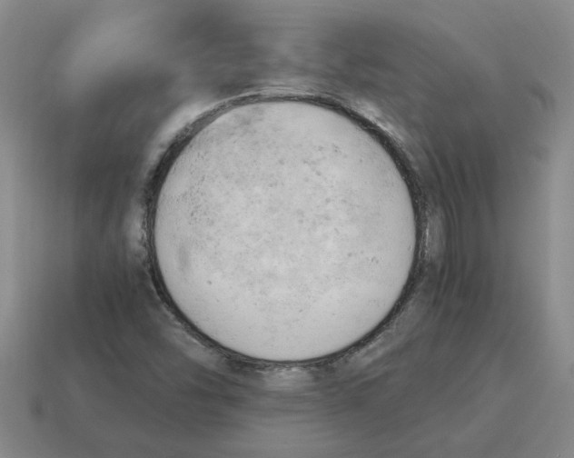 X0000114431454200911061633