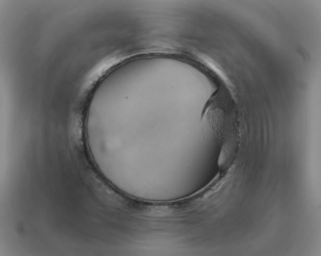 X0000114431455200911061633