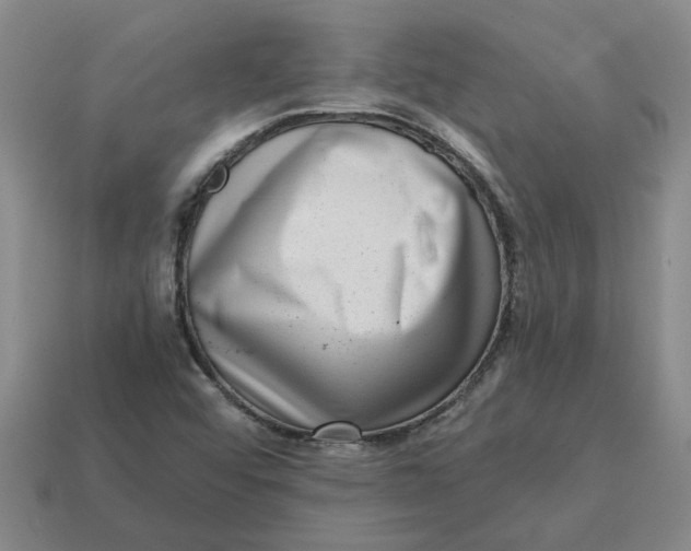 X0000114431456200911061633