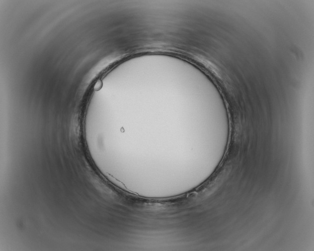 X0000114431458200911061633