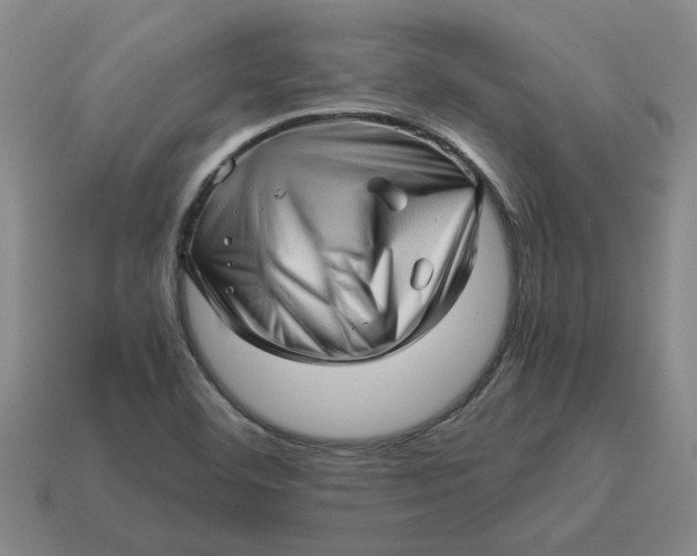 X0000114431460200911061633