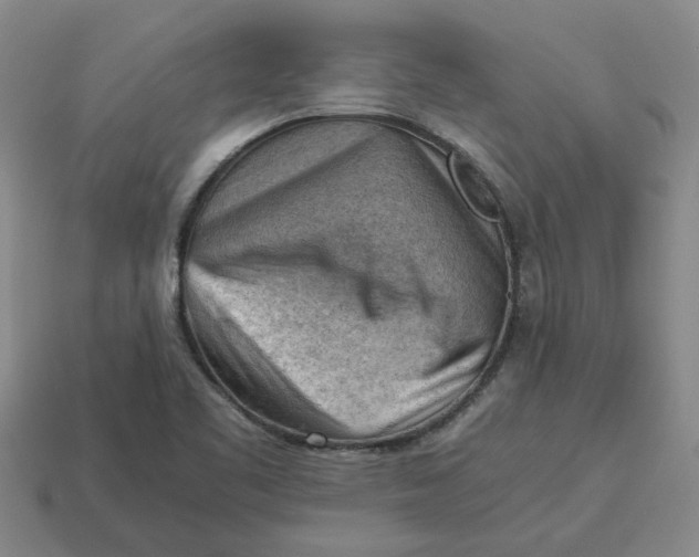 X0000114431461200911061633