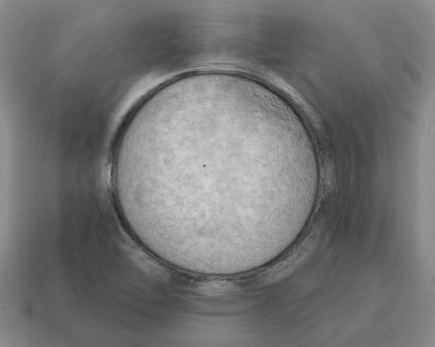 X0000114431462200911061633