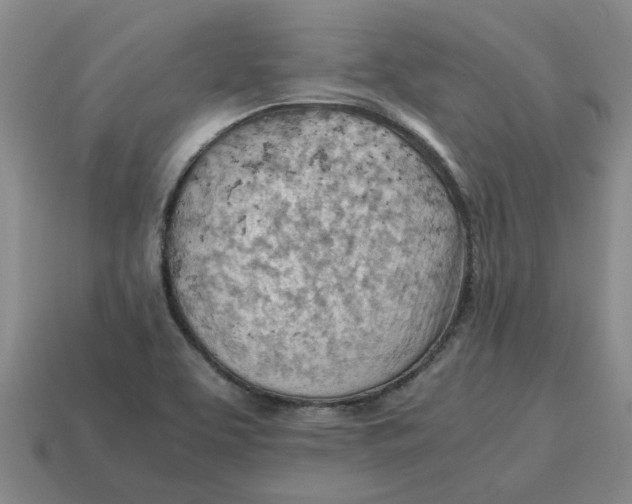 X0000114431463200911061633