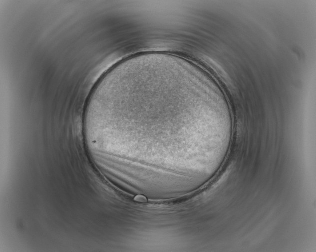 X0000114431465200911061633