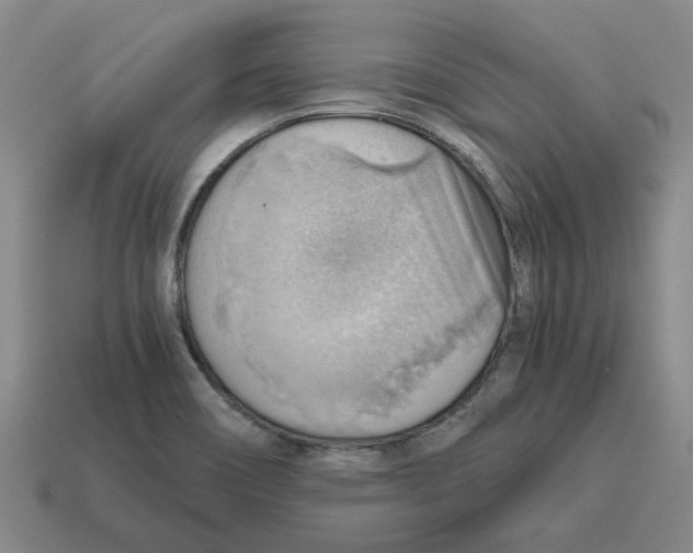 X0000114431466200911061633