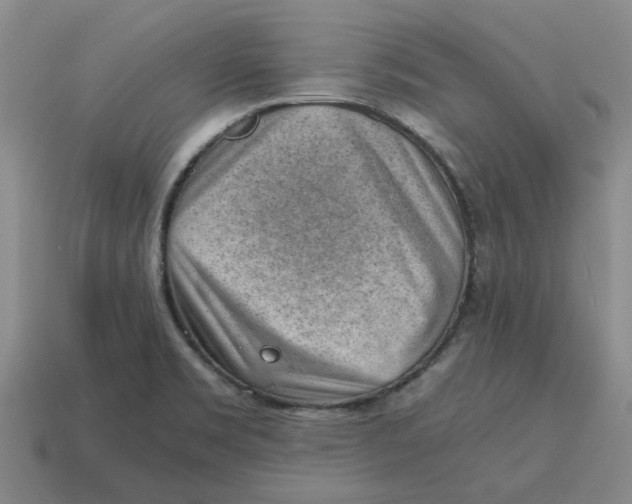 X0000114431469200911061633
