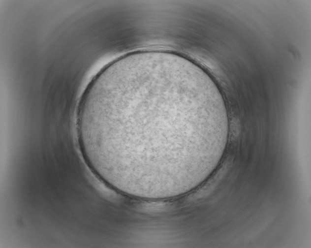 X0000114431470200911061633
