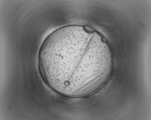 X0000114431471200911061633