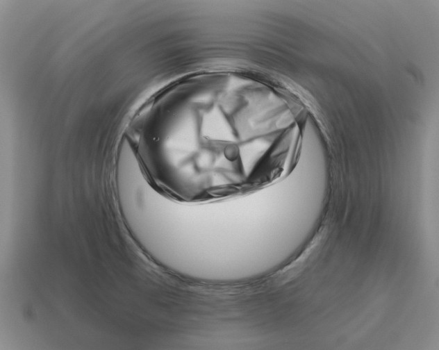 X0000114431473200911061633