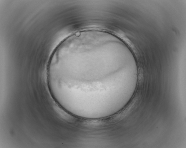 X0000114431474200911061633