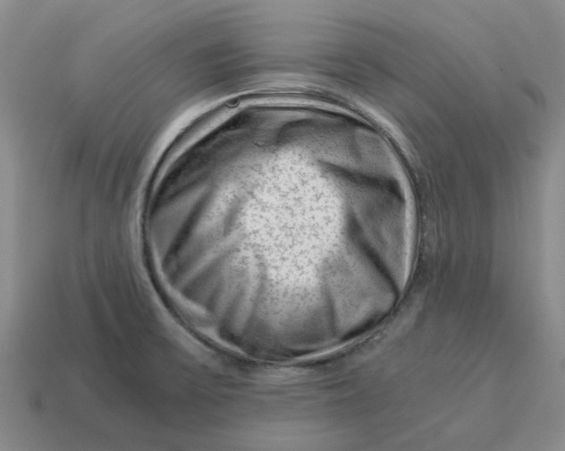 X0000114431475200911061633