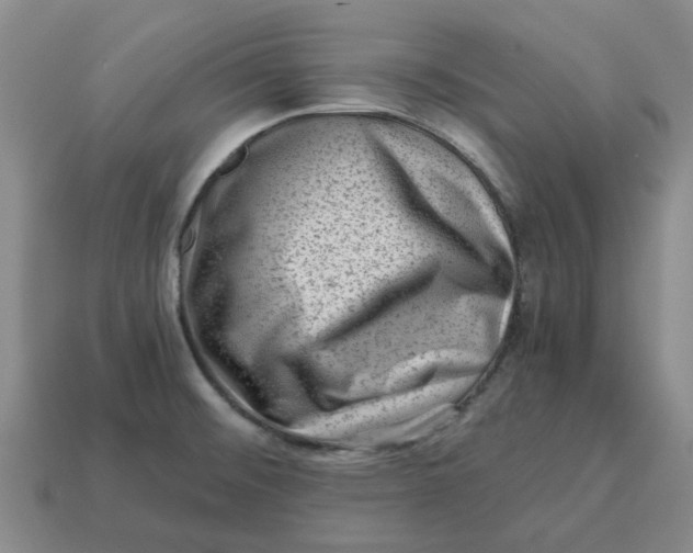 X0000114431476200911061633