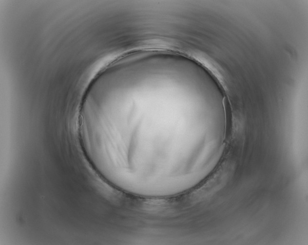 X0000114431477200911061633