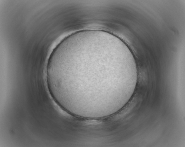 X0000114431478200911061633