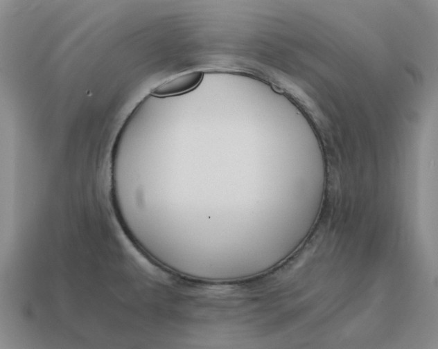 X0000114431479200911061633