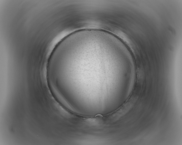 X0000114431480200911061633