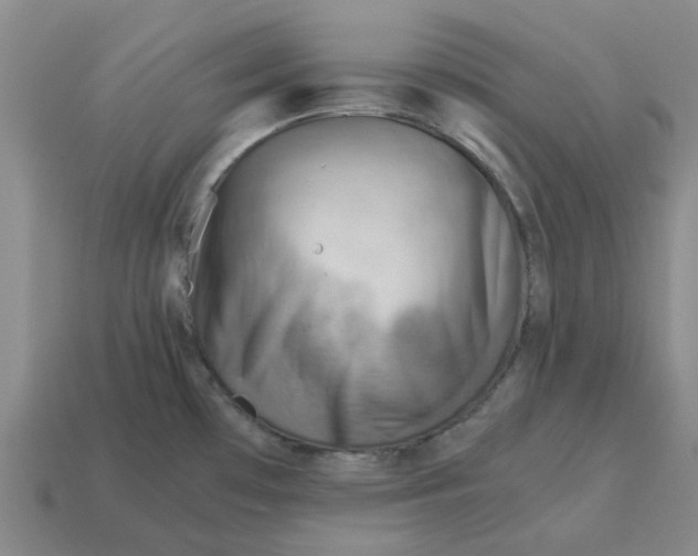 X0000114431481200911061633