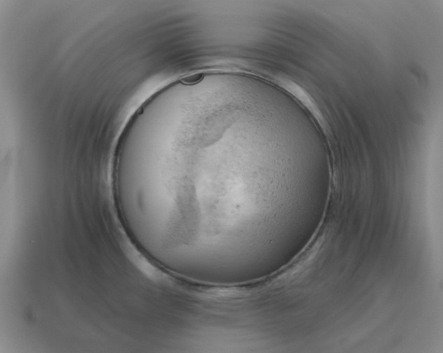 X0000114431482200911061633