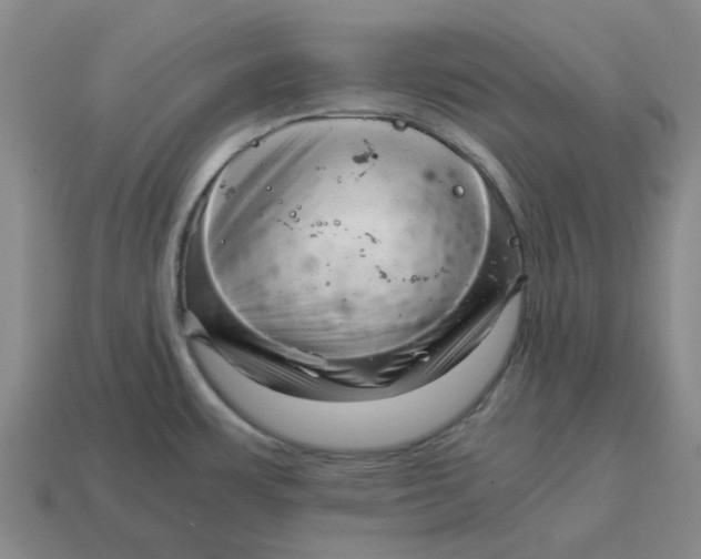 X0000114431483200911061633