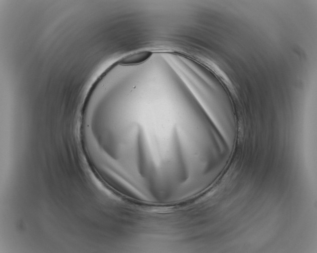 X0000114431484200911061633