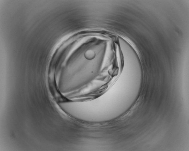 X0000114431485200911061633