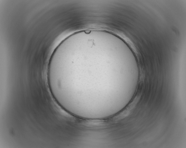 X0000114431486200911061633