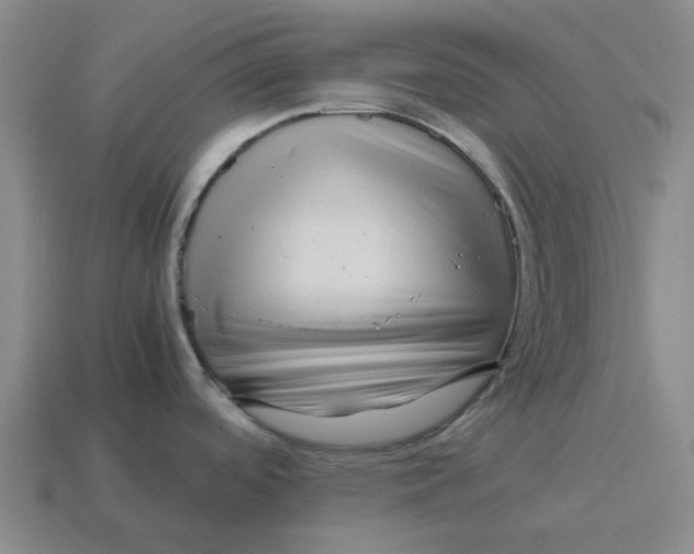 X0000114431488200911061633