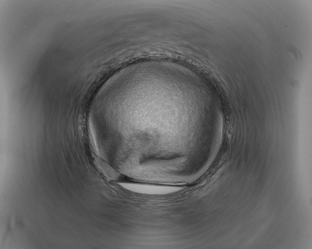 X0000114431490200911061632