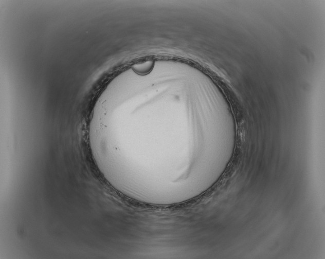 X0000114431495200911061632