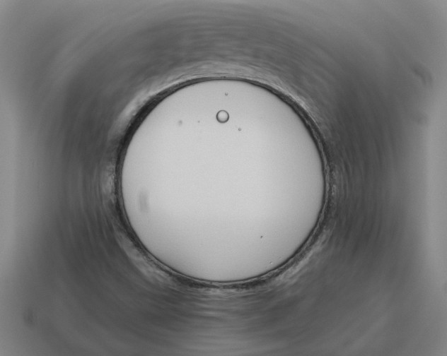 X0000114431499200911061632