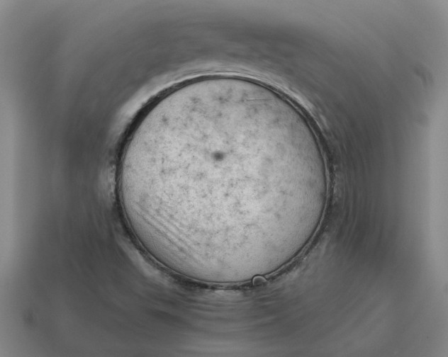 X0000114431503200911061632