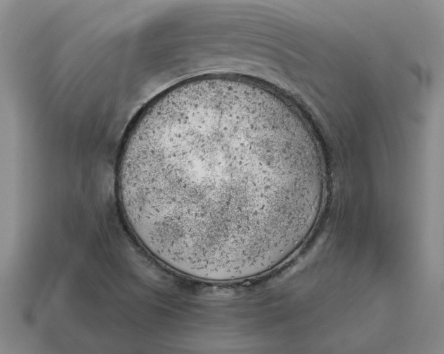 X0000114431505200911061632