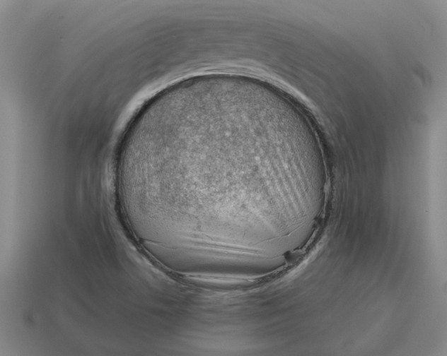 X0000114431506200911061632