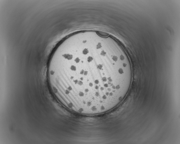 X0000114431507200911061632