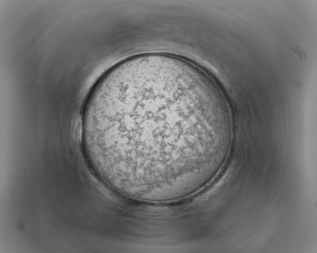 X0000114431509200911061632