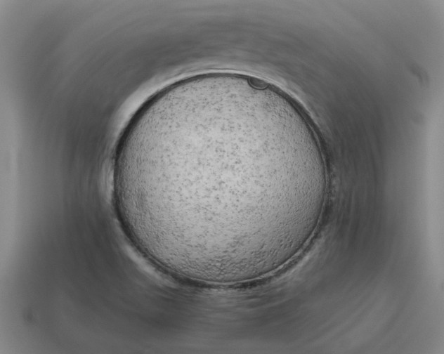 X0000114431511200911061632