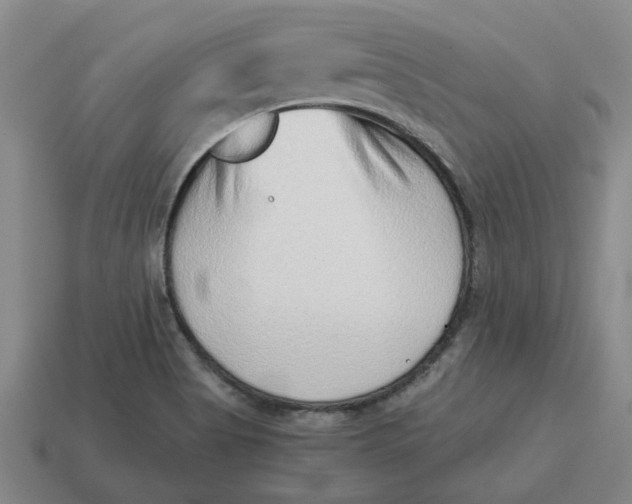 X0000114431513200911061632