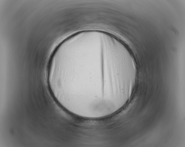 X0000114431517200911061632