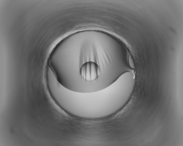 X0000114431518200911061632